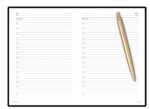 Подарочный набор Parker: Ежедневник красного цвета с золотом и шариковая ручка Parker Jotter XL YellowGold, цвет стержня синий 8
