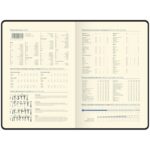 Подарочный набор: Шариковая ручка Parker Jotter Essential, Victoria Violet CT и Ежедневник недатир., серебр. срез, фиолетовый 14